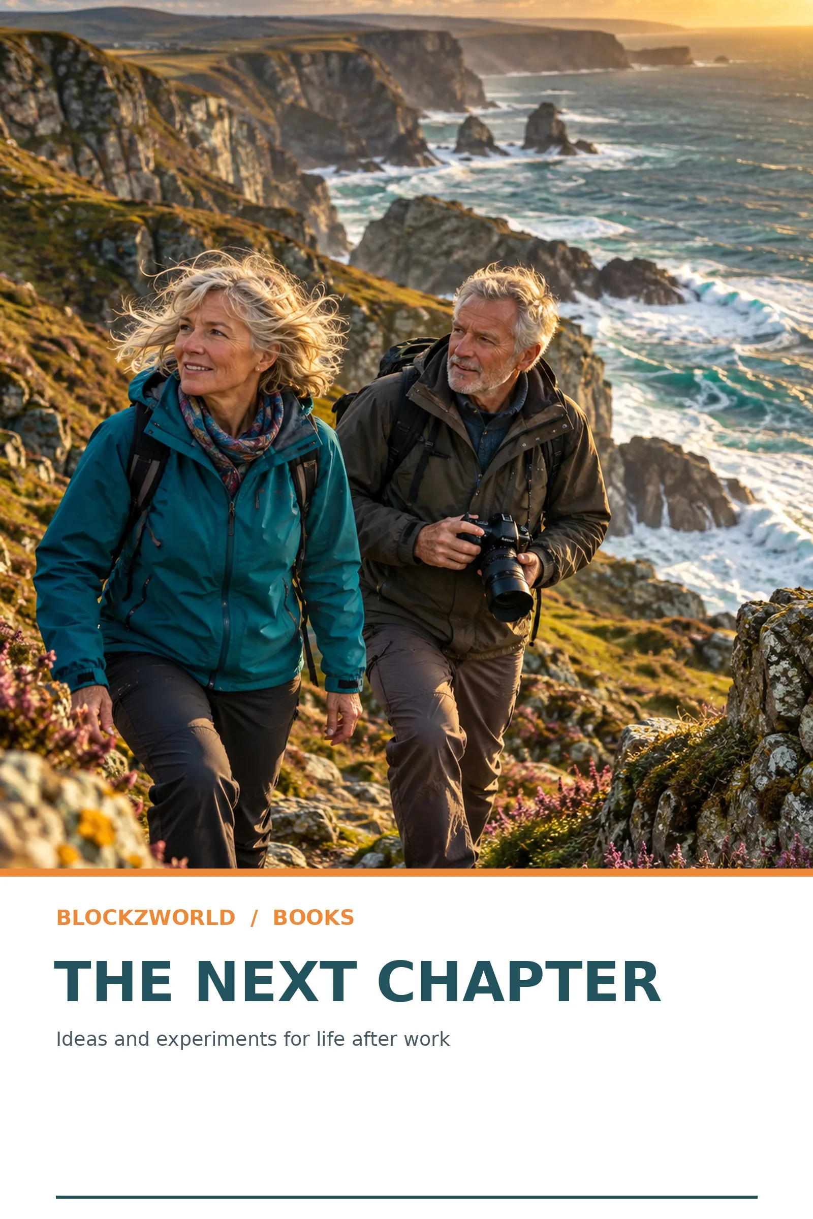 Cover of The Next Chapter